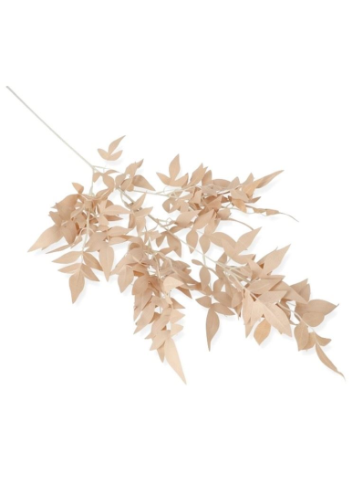 GAŁĄZKA RUSKUS 100CM / 80053 OLD PEACH