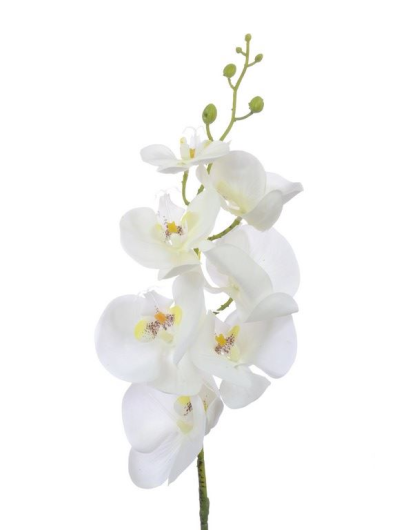 Storczyk guma 85cm Aj45598 White w yc