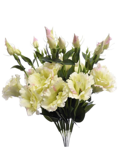 EUSTOMA NA PIKU 47CM SUN357 LT.PINK/LT.GREEN