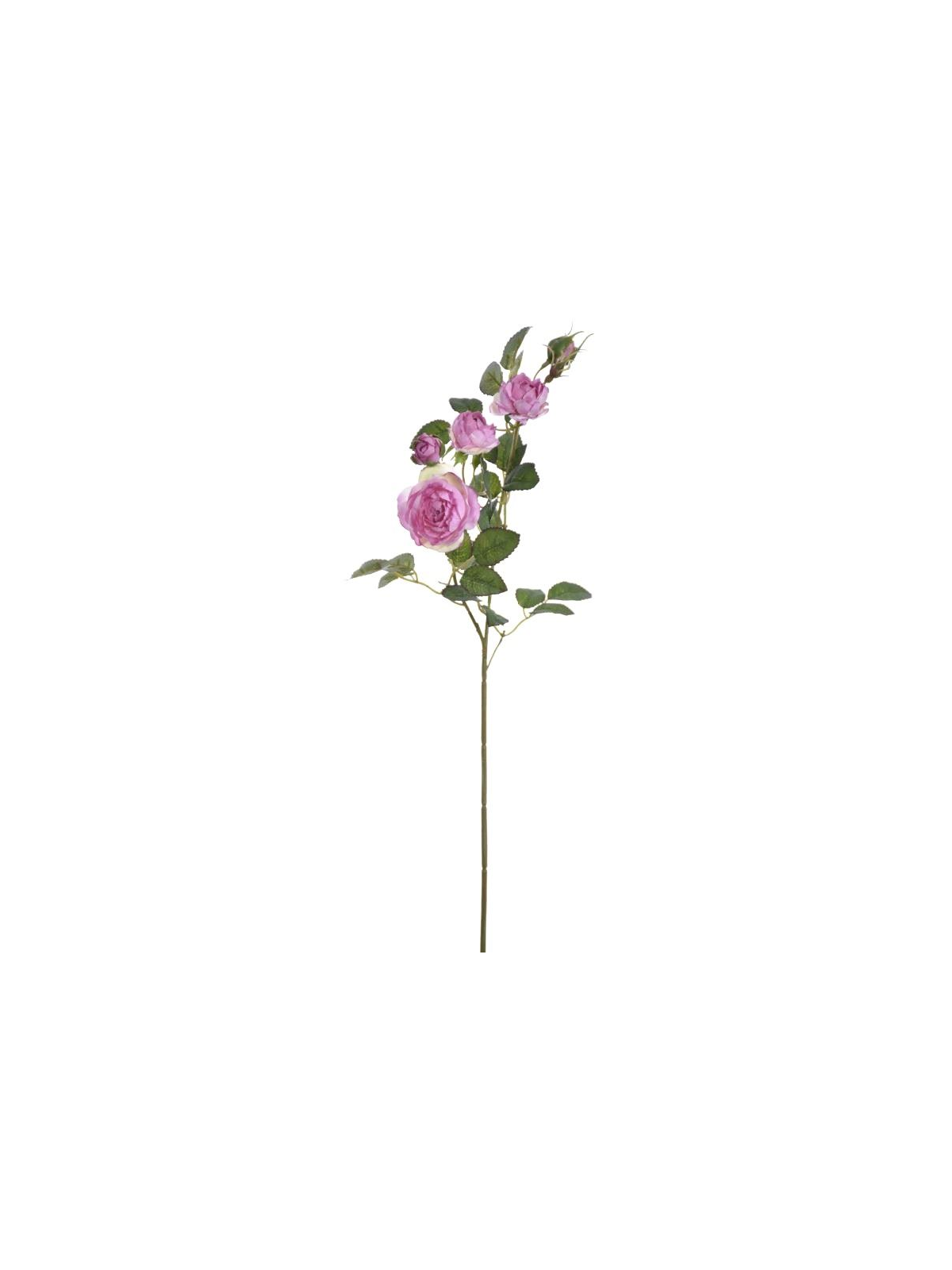 RÓŻA MINI NA GAŁĄZCE 50CM SUN760 PINK EDGE PINK