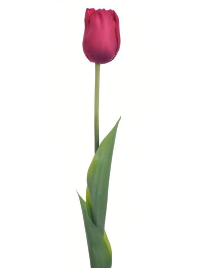 TULIPAN POJEDYNCZY 48CM ART258 MAGENTA