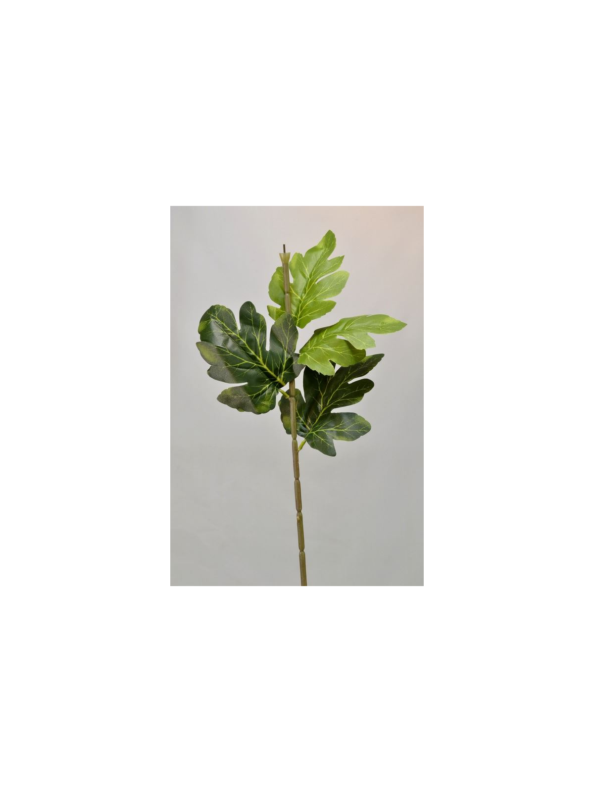 ŁODYGA DO CHRYZANTEMY 68CM 4 LIŚCIE GREEN