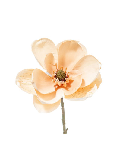 PICK MAGNOLIA 35CM CREAM BUTTER