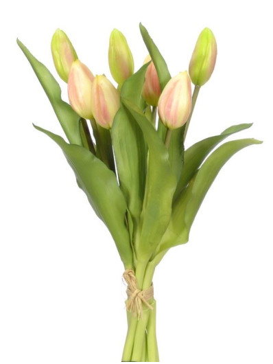 PĘCZEK TULIPANÓW W PĄKU 32CM LT PINK