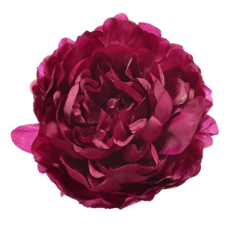 PEONIA WYROBOWA 15CM SUN406 DR. BEAUTY GREEN