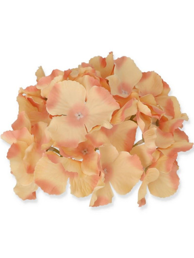 HORTENSJA GŁÓWKA 17CM / LE18 9 SALMON