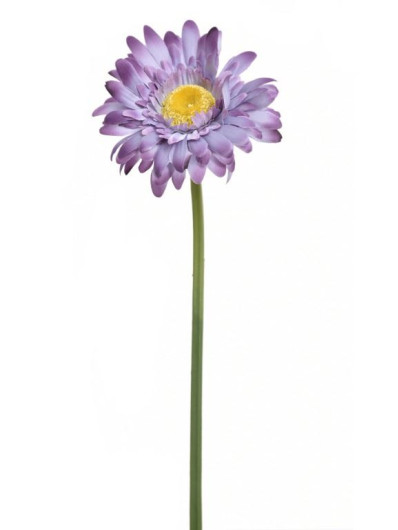 GERBERA POJ 47cm  SUN529 GRAPE
