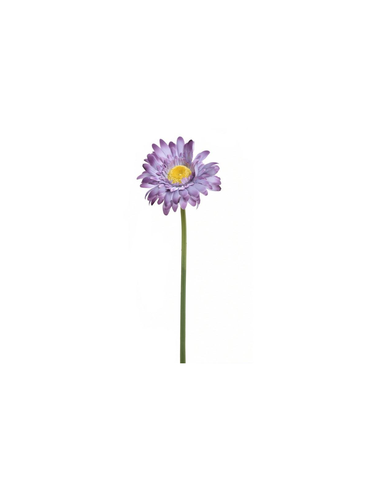 GERBERA POJ 47cm  SUN529 GRAPE