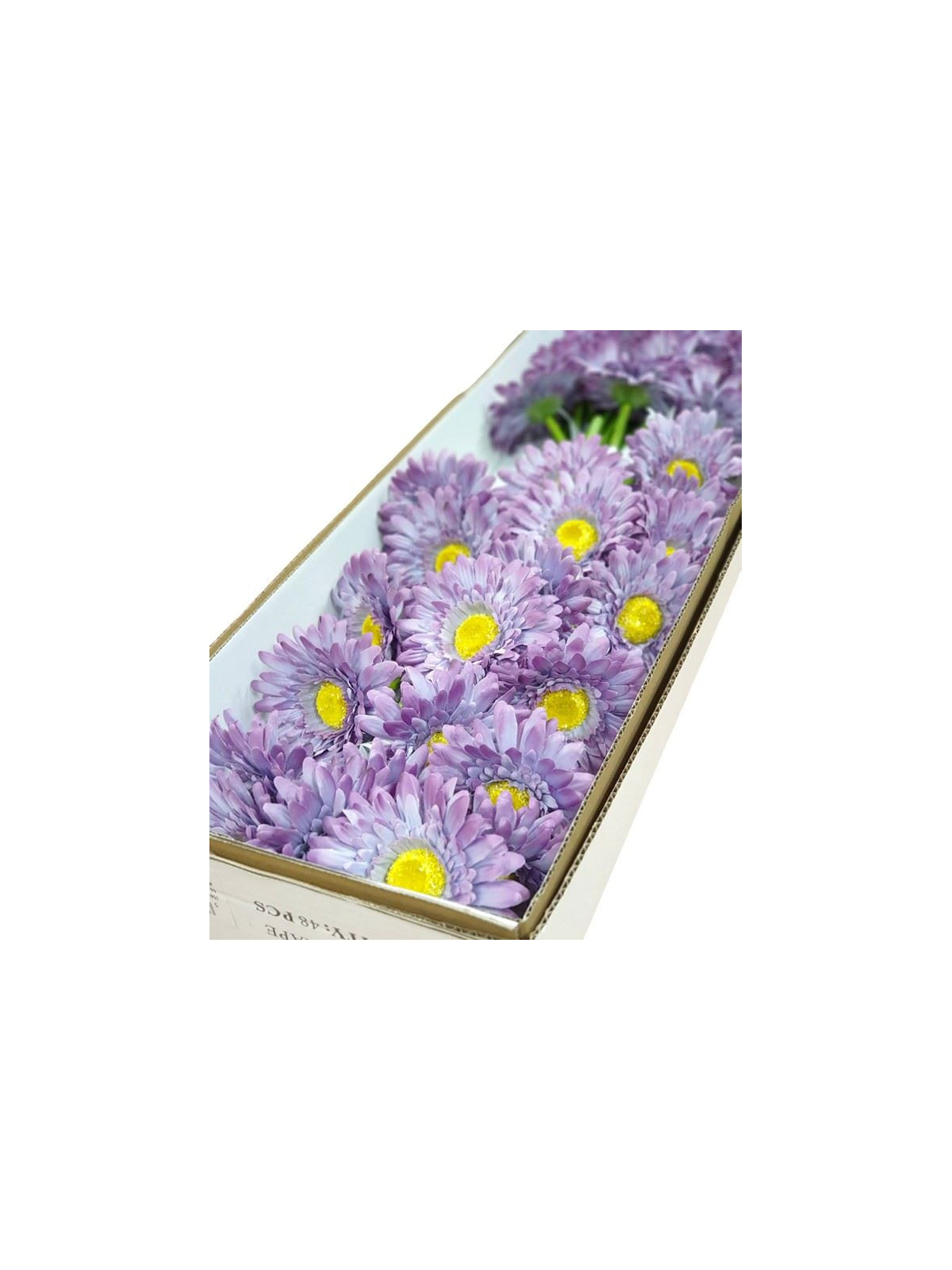 GERBERA POJ 47cm  SUN529 GRAPE