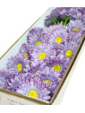 GERBERA POJ 47cm  SUN529 GRAPE