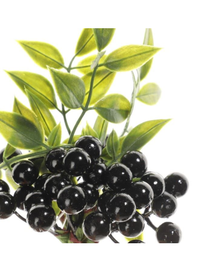 Gałązka z owocami i zielonymi listkami 30 cm black