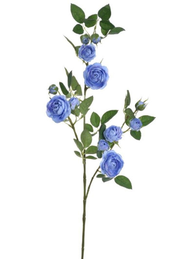 Róża Gał dzikiej różyczki 78cm sun663 lt blue