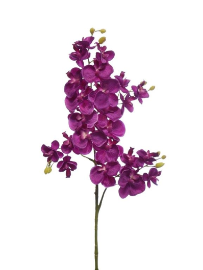 Storczyk drobny 70cm sun230 purple