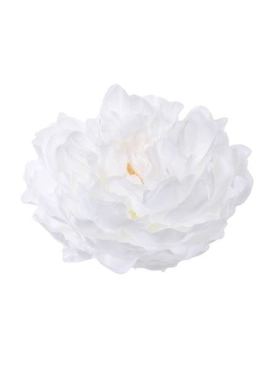 PEONIA WYROBOWA 15CM SUN406 CLEAR WHITE