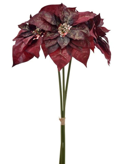 POINSECJA SZRON PĘCZEK 3SZT. KLM1126 RED (BURGUNDY