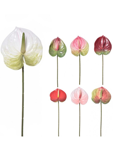 ANTURIUM POJEDYNCZE GUMA 59CM  ERA1017 ASST4 MIX