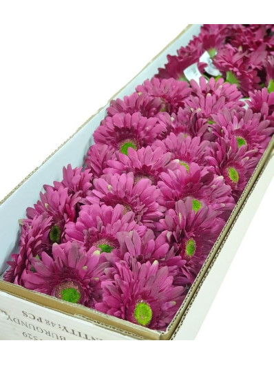 GERBERA POJEDYNCZA 47CM  SUN529 BURGUNDY