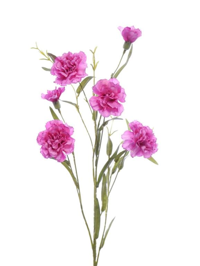 GOŹDZIK GAŁĄZKA 75CM SUN641 SWEET PINK EDGE PINK