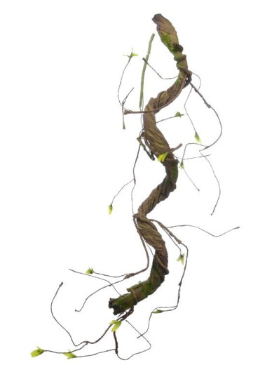 PLASTYCZNA GAŁĄŹ POROŚNIĘTA MCHEM 70CM BROWN GR