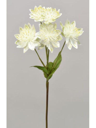 GAŁĄZKA ASTRANCJA 40CM KLM1052 WHITE GREEN