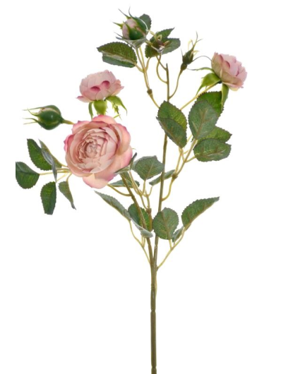 RÓŻA MINI NA GAŁĄZCE 50CM SUN760 LT MAUVE