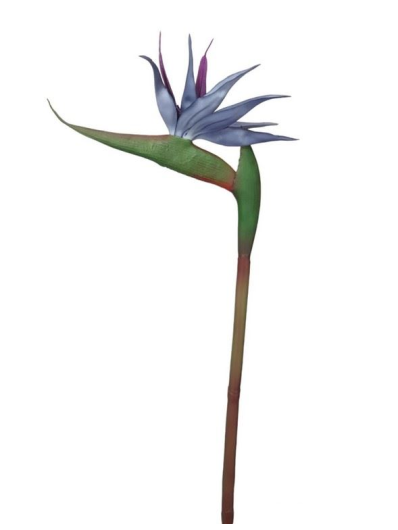 STRELICJA POJEDYNCZA GUMA 80CM BLUE VIOLET