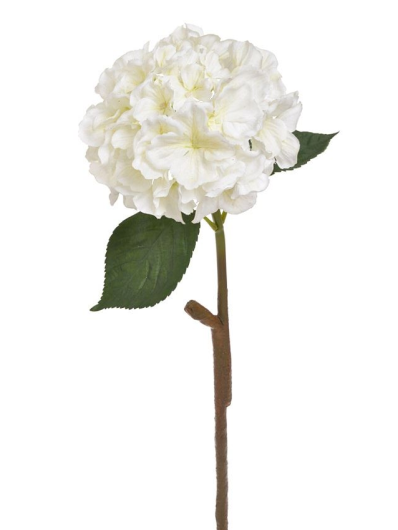 Hortensja x1 59cm white cream