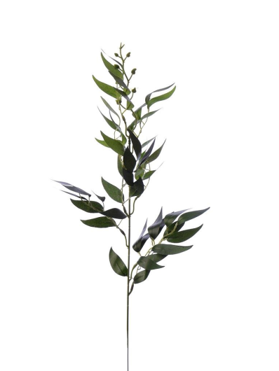Ruskus na piku 60cm liu388 green