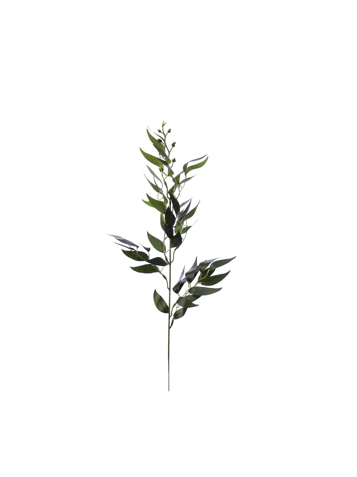 Ruskus na piku 60cm liu388 green