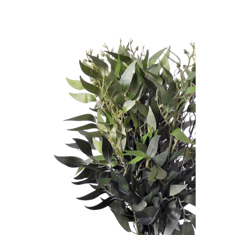 Ruskus na piku 60cm liu388 green