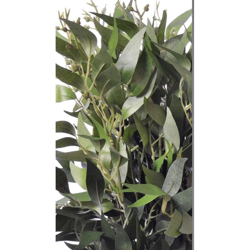 Ruskus na piku 60cm liu388 green