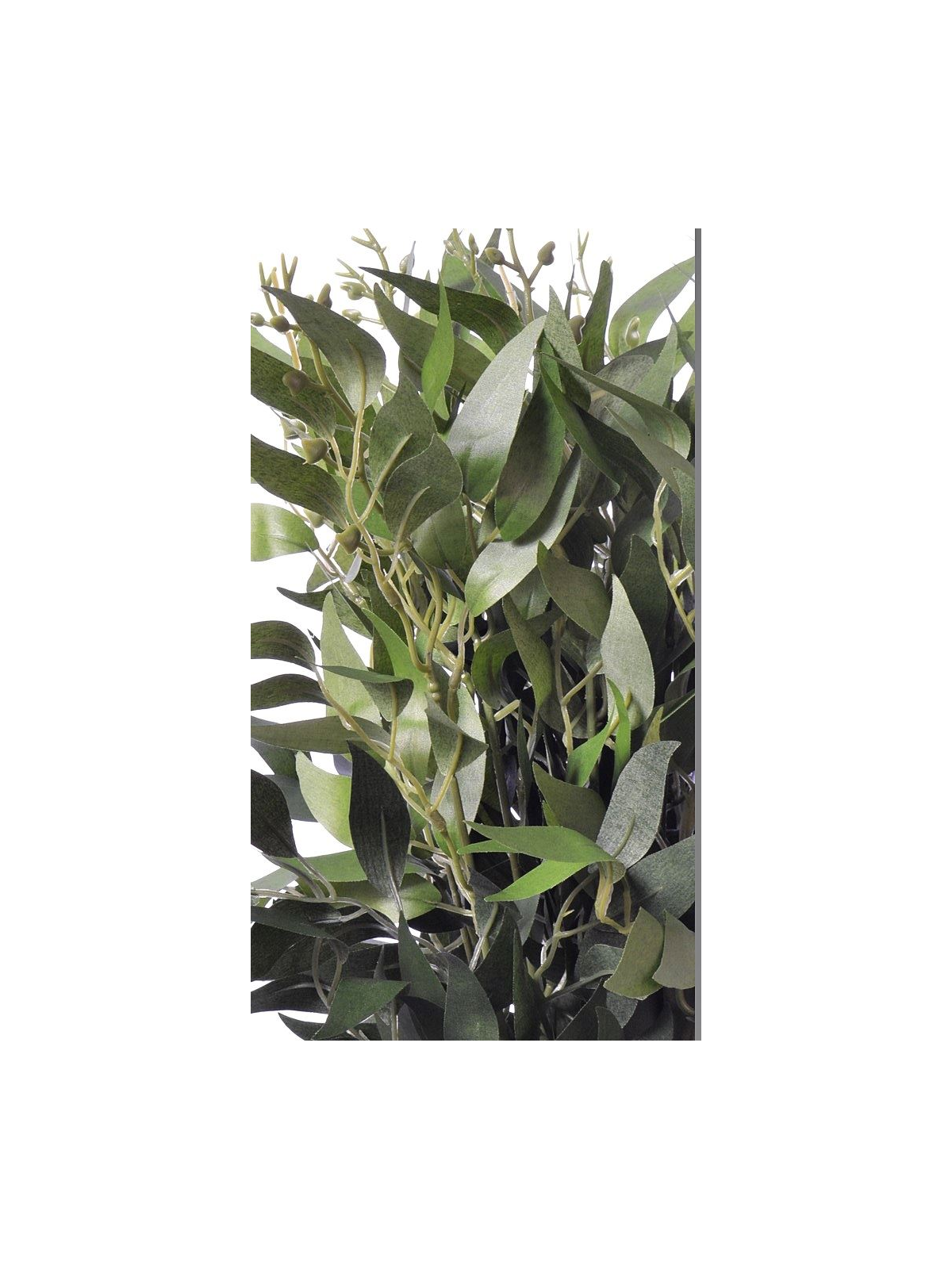 Ruskus na piku 60cm liu388 green