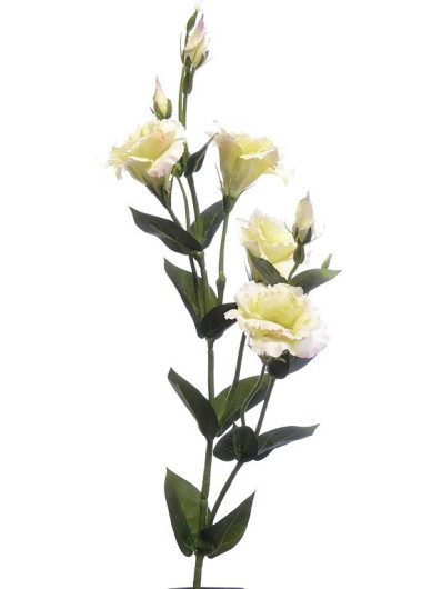 Eustoma gałązka 83cm sun345 LT.PINK LT.GREEN