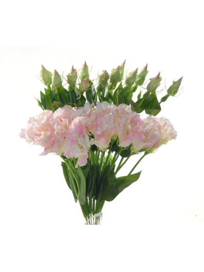 EUSTOMA NA PIKU 47CM SUN357 PINK