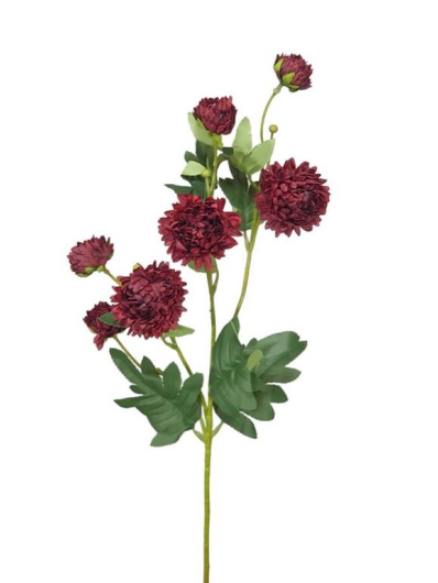 ASTER MINI CHRYZANTEMA 75CM BURGUNDY