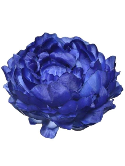 PEONIA WYROBOWA 15CM SUN406 DR BLUE