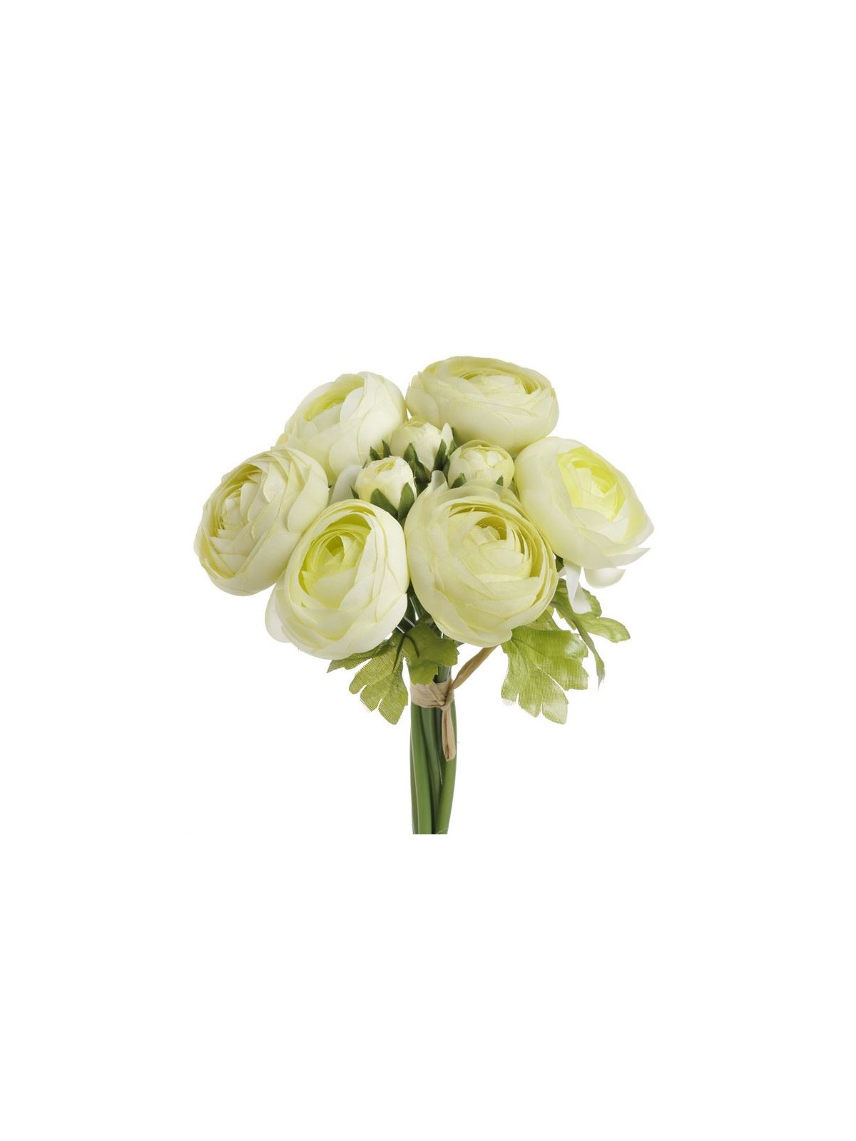 RANUNNCULUS BUKIET X9 24CM GREEN LT GREEN