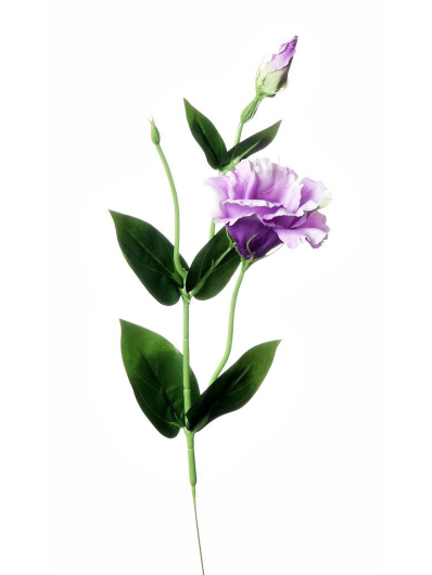 EUSTOMA NA PIKU 47CM SUN357 LT VIOLET