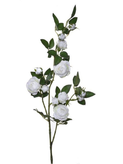 Róża Gał dzikiej różyczki 78cm sun663 ecru