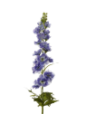 OSTRÓŻKA POJ. 72CM SUN498 BLUE/VIOLET