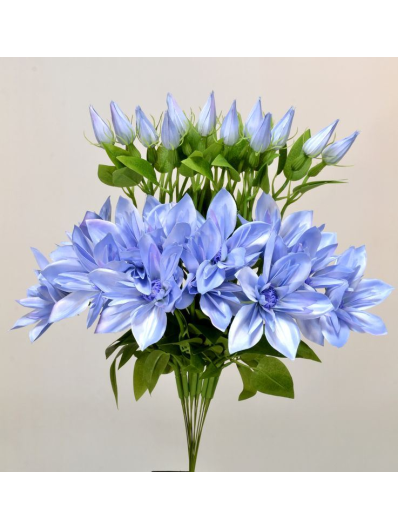 KLEMATIS NA PIKU 48CM SUN500 LT BLUE