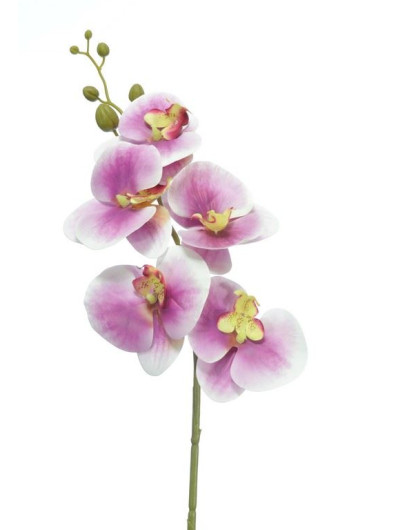 STORCZYK PHANELOPSIS 82CM SOFT TOUCH BEAUTY PINK