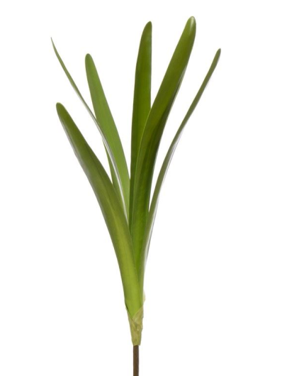 LIŚĆ UNIWERSALNY STORCZYK - AMARYLIS 50CM GR 33101