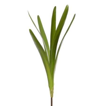 LIŚĆ UNIWERSALNY STORCZYK - AMARYLIS 50CM GR 33101