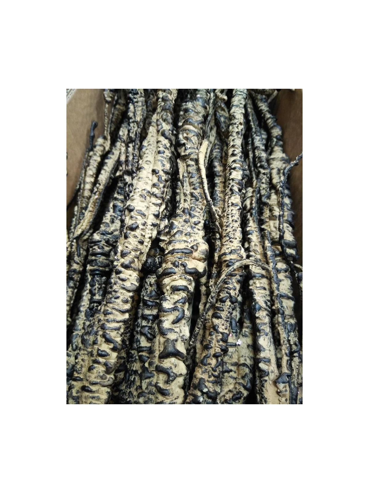 GAŁĄŹ ELASTYCZNA TREE BRANCH 120CM lt BROWN