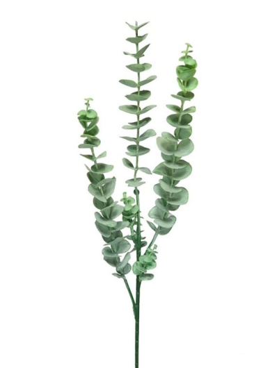 EUKALIPTUS GUMA 75CM POWDER GREEN