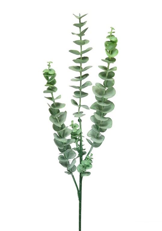 EUKALIPTUS GUMA 75CM POWDER GREEN