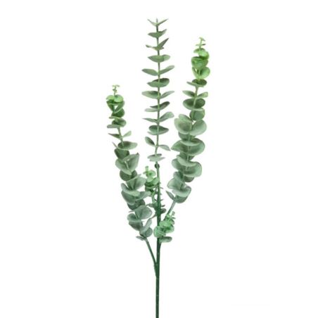 EUKALIPTUS GUMA 75CM POWDER GREEN
