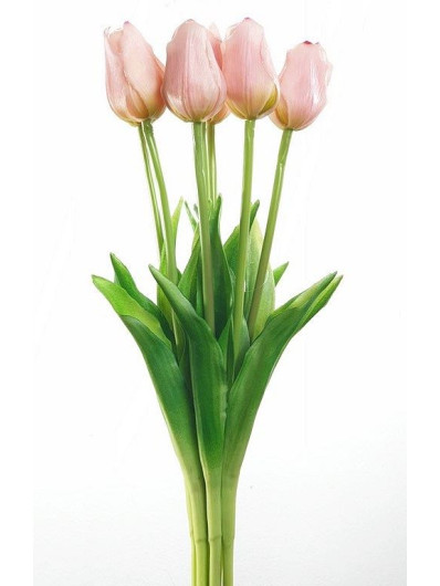 TULIPAN POJEDYNCZY GUMA 48CM LT PINK