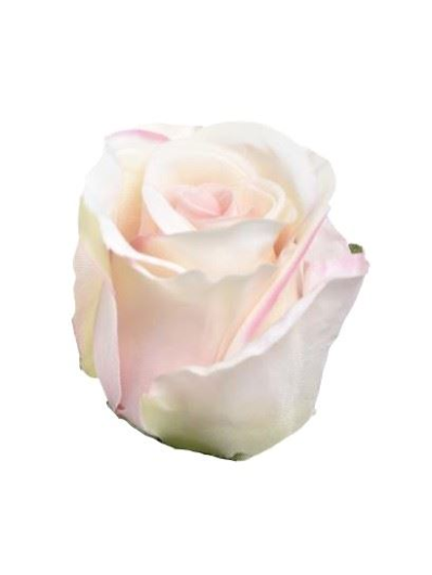 RÓŻA W PĄKU GŁÓWKA 6CM SUN412 DELICATE APRICOT